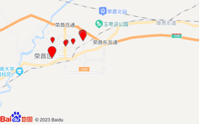 (重慶)小王道路貨物運輸經(jīng)營部