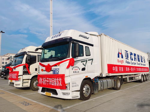 跨境物流再提速 國際公路運輸河南集結中心在新鄭綜保區揭牌